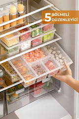 Buzdolabında 5 bölmeli şeffaf plastik düzenleyici dolu taze yemeklerle ve yiyecek saklama organizasyonu