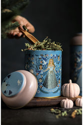 Cinderella temalı mavi dekoratif kutuda kurutulmuş bitkiler, pembe kapak, dekoratif balkabağı figürleri