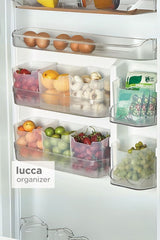 Buzdolabı kapak raflarında yumurta, domates, limon, mantar, yeşil ve kırmızı meyveler düzenleyici kutularda