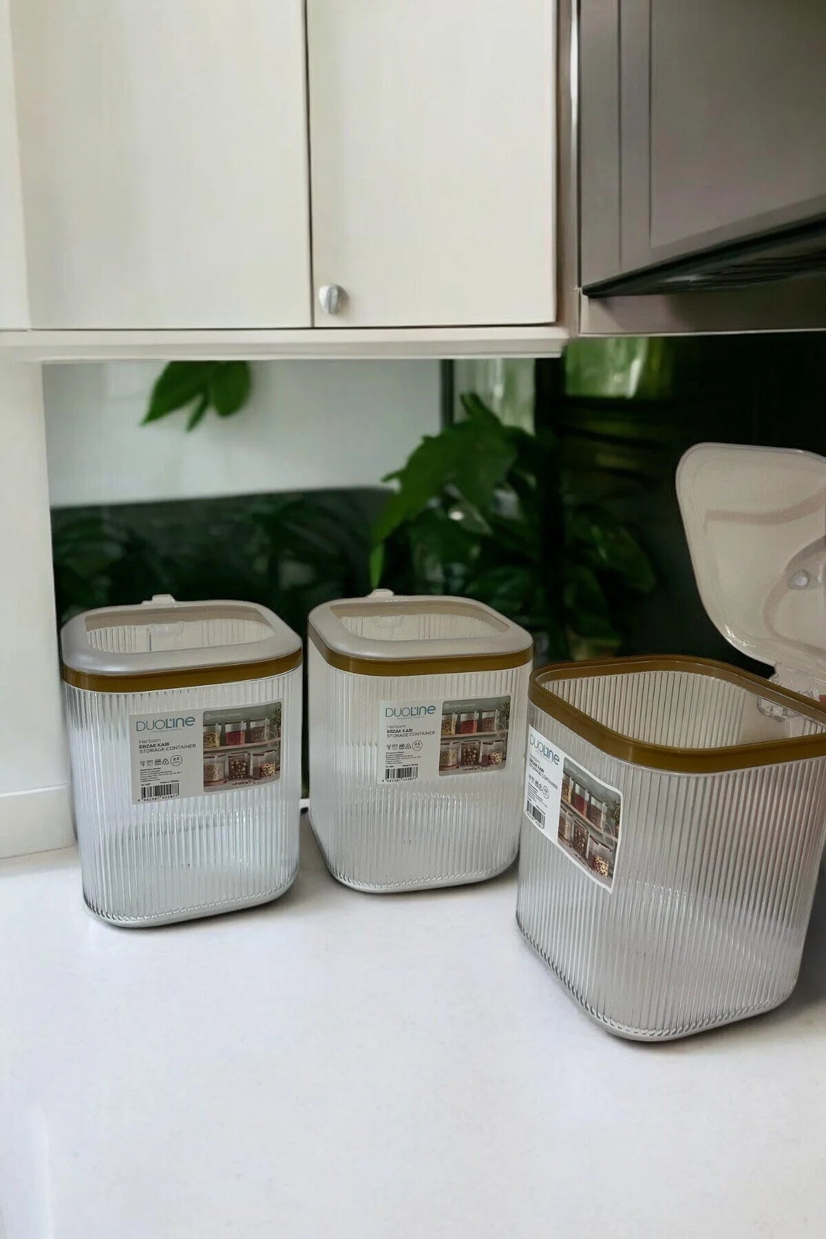 2.5 Lt 3'lü Kulplu Kapaklı Saklama Kabı Seti, 3'lü Set - Şeffaf Gold
